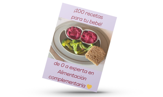 100 recetas sanas para tu bebé + 6 bonos ¡GRATIS!